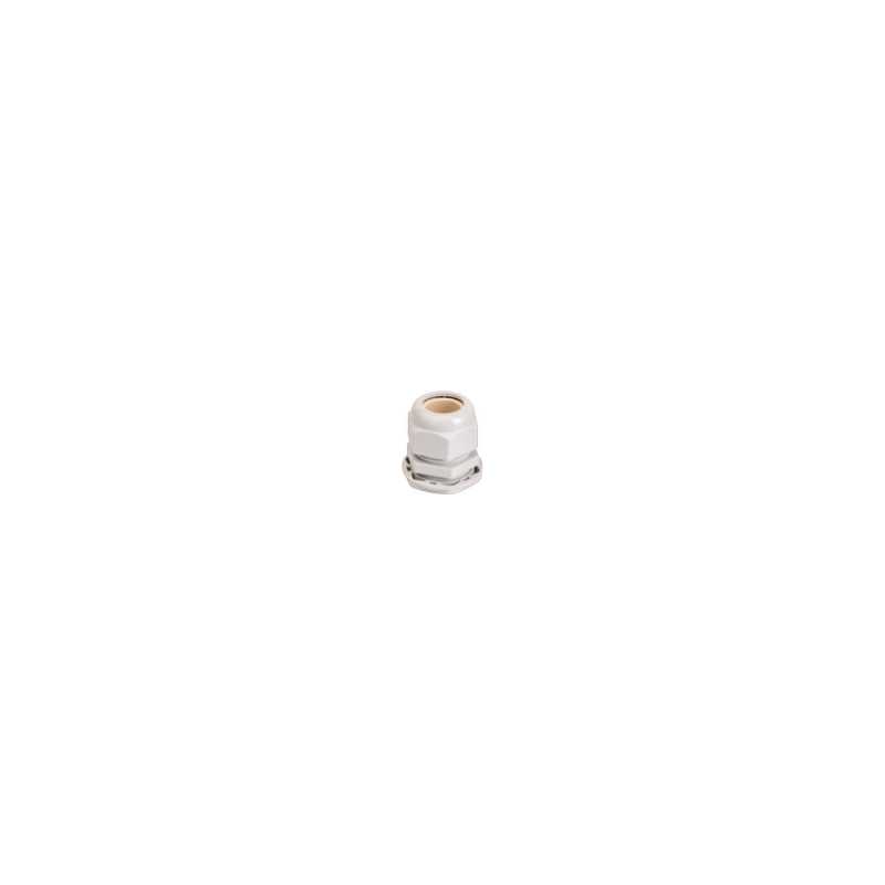 Image n°1